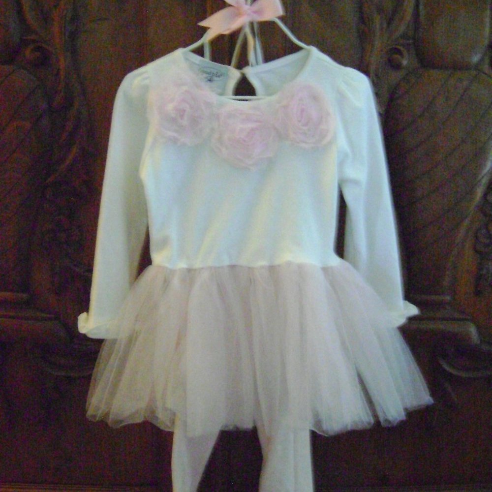Long sleeve dress with tulle skirt and matching pants by Mudpie baby  size 2T/3T
